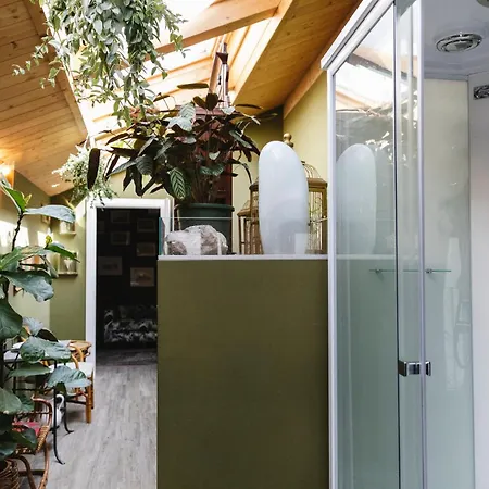 La Casa Di Isotta * 莱科